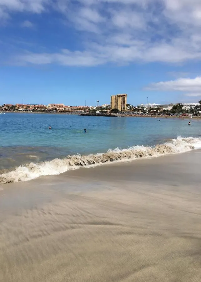 Διαμέρισμα Torres Del Sol 15 Floor The Hightest Πλάγια ντε λας Αμέρικας Ισπανία